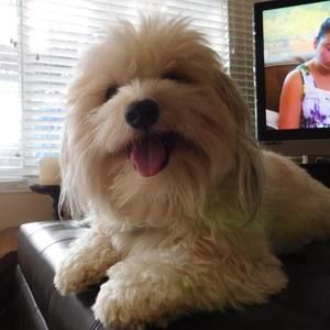 Meet your Posher, Debbie